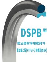Joint de la poussière de DSPB