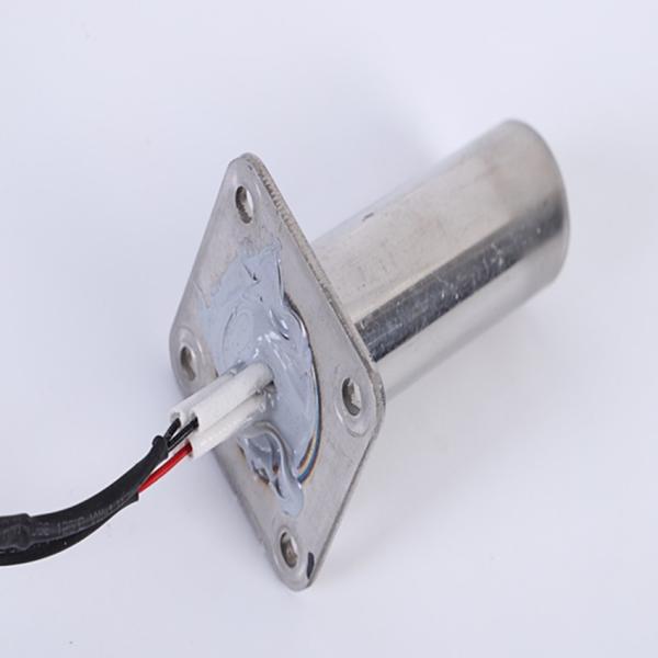Stainless Steel Ptc Water Dispenser Gas Water Heater Parts 220 volt