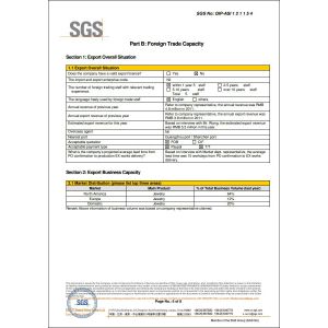 Guangzhou charmingbeads jewelry co.,ltd Certifications