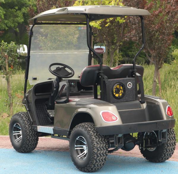 Véhicule utilitaire de 2 places Voiture de golf 30 km/h Automatique léger électrique à batterie