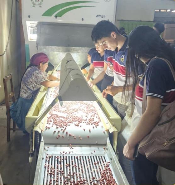 Double-Layer Broken Glass Bottles CCD Colour Sorter Glass Color Sorter Sorting Machine