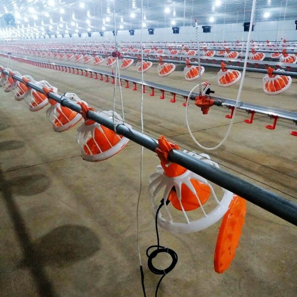 Птицы PVC фермы парника Agrifan пусковая площадка испарительной охлаждая