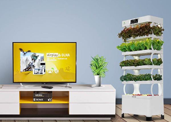 Smart Indoor Hydroponic System For Planter Fashion Versatile Energy Saving