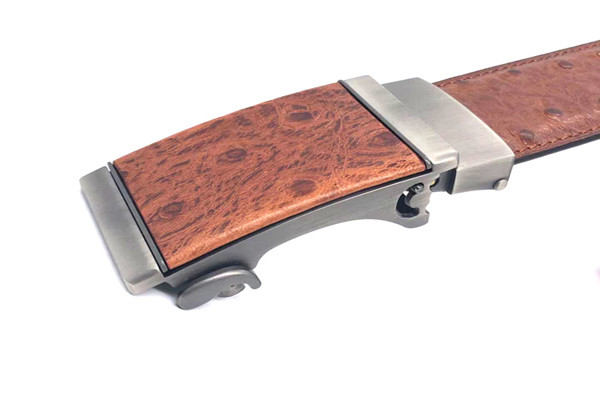 Дизайн кабеля пояса платья храповика картины страуса людей неподдельный кожаный невидимый