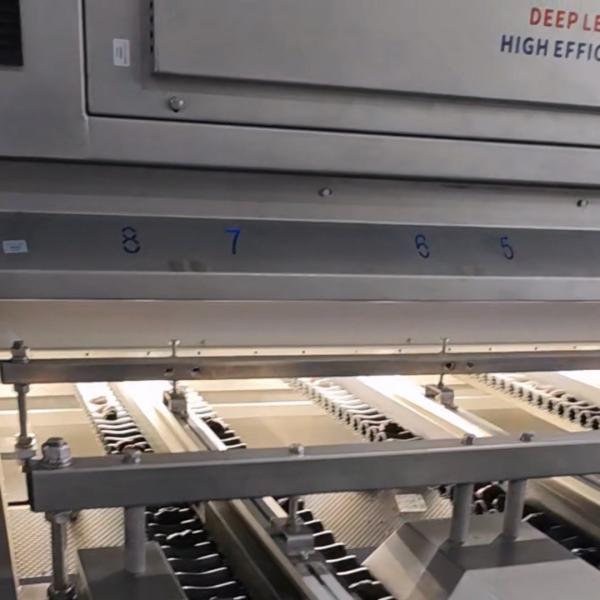 Smart Dates Sorting Machine, AI Detection, 6 lanes+10 outlets, 1.8 Tons per hour, High Speed Mode