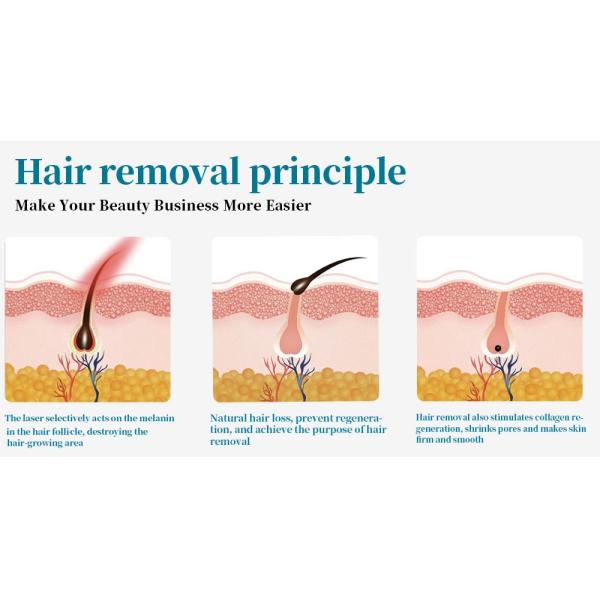 Multifunction IPL Hair Removal Device Skin Rejuvenation Dpl Machine