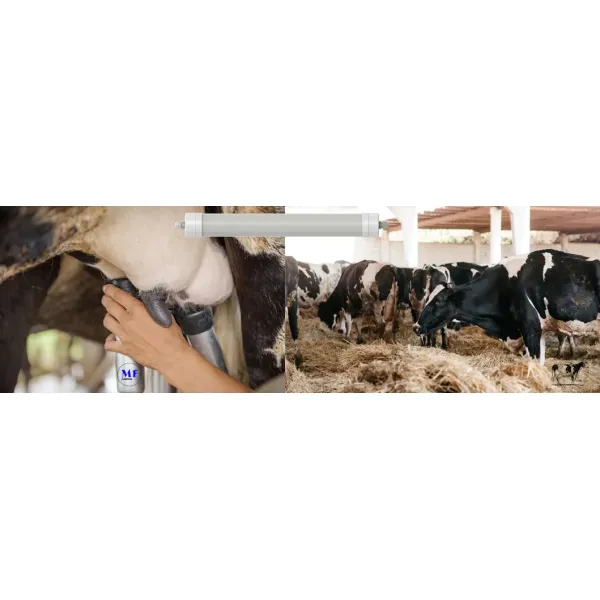 LED Tri-Proof Light Anti-Ammonia White Color Ik10 IP69K 0~10V Dim CCT Power Adjustable 170lm/W 1.6m for Diary Cow Sheep Farmyard Livestock