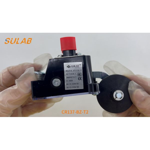 CR137-BZ-T2 Heavy-Duty Limit Switch with IP67 Rating, 2×SPDT Snap-Action Contacts and Steel Roller Lever