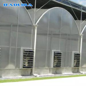 Automatic System Multi-Span Greenhouse PC Polycarbonate Film Greenhouse Steel
