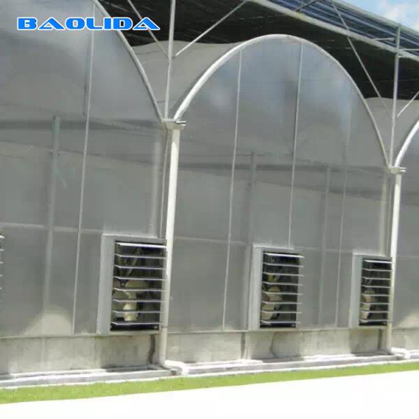 Construção de aço da estufa do filme do policarbonato do PC da estufa do Multi-período do sistema automático