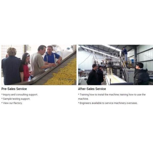 собака 1000kg/hr 70kw жует прессуя машину для делать Kibbles