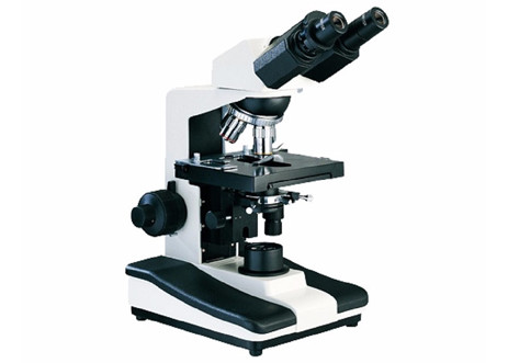 преступник флуоресцирования микроскопии контраста и затемненного поля участка 6V 20W WF10X