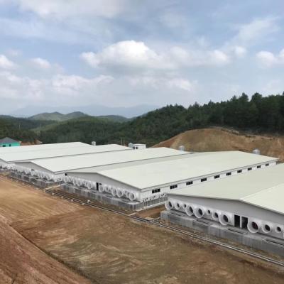 Steel Structures for Poultry House Broiler Chicken Coop Farm Warehouse Gymnasium Ready
