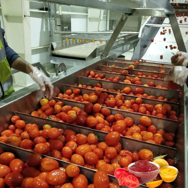 customized cpmplete Tomato processing Line In China tomato sauce process machine high quality equipment for tomato juice/sauce/jam