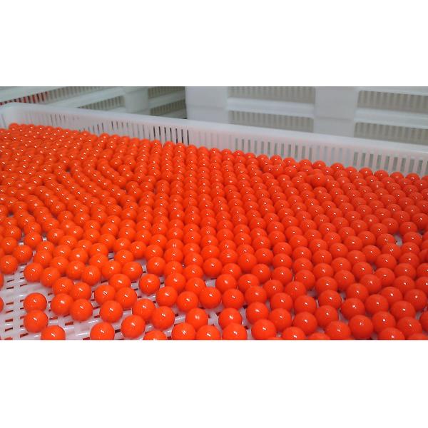 As cápsulas de cobre feitas sob encomenda morrem rolo para o Paintball que faz a máquina