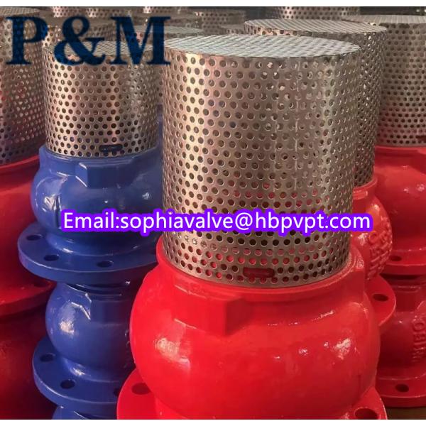 dn100 pn16 GGG50 foot valve stainless steel screen