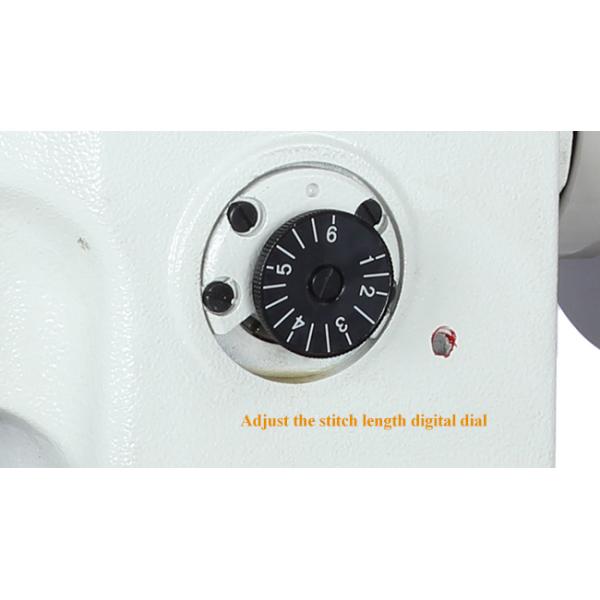 2200RPM Leather Shoes 246 Single Needle Sewing Machine