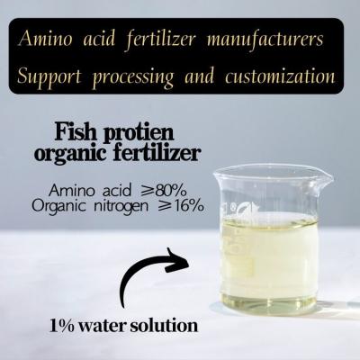 Extracto Natural Enzima Proteína de Peixe em Pó Fertilizante Orgânico de Azoto