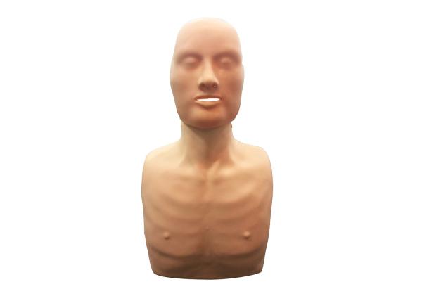 Cardiopulmonary Resuscitation Simulator