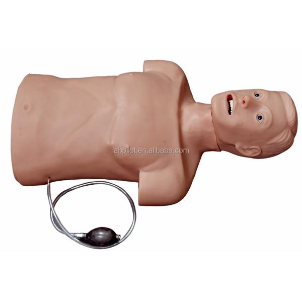 Improve Emergency Response Skills with Two-in-One CPR and Tracheal Intubation Manikin