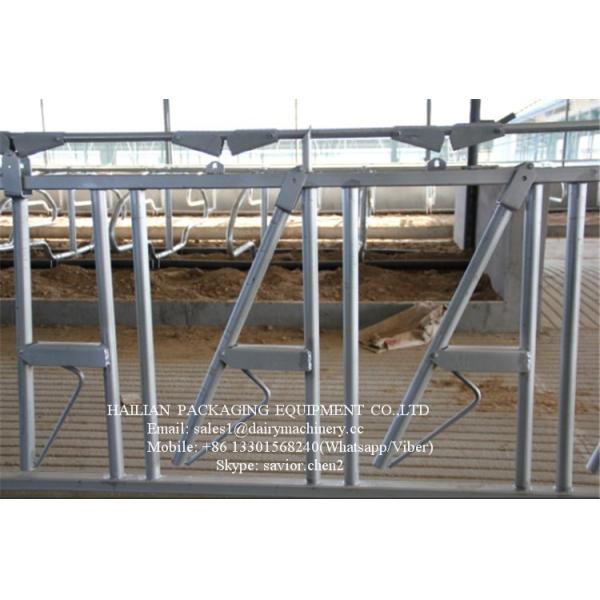 Оборудование фермы замка головки толкотни скотин Горяч-гальванизировало стальную трубу