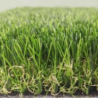 Combinação reta da máscara da cor do fio da grama artificial do jardim de 9300 Detex
