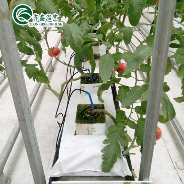 PO Film Protected Indoor Hydroponic Growing Systems for Greenhouse