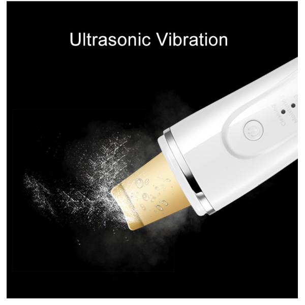 Cavitation Peeling Facial Lifting 29KHZ DC5V 0.8A Ultrasonic Skin Scrubber