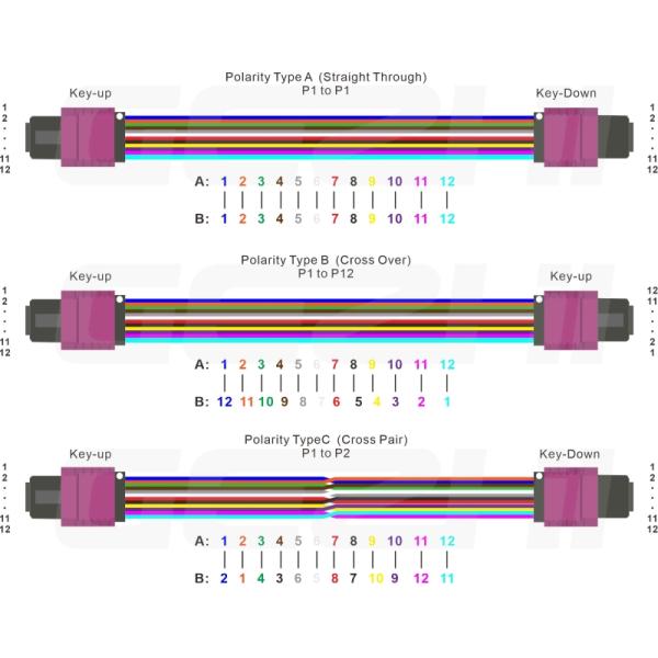 OM4 MPO patch cord.jpg 12 волоконных LC Duplex 1x6 к MTP MPO кабели MPO OM4 патч-шнур
