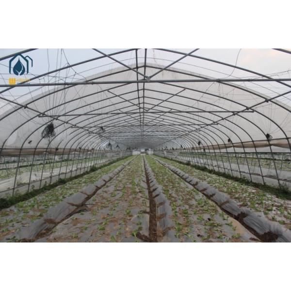 Galvanized Tunnel Greenhouse 2.5m - 4.5m Fruit Growing Greenhouse For Healthier Harvests