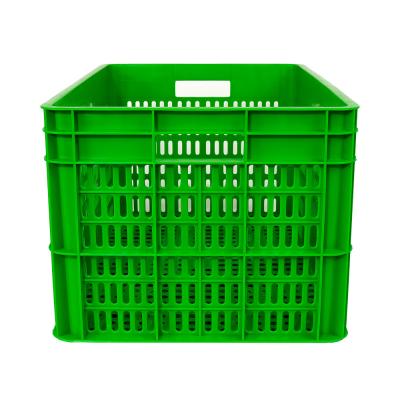 1 Meter Plastic Crate for Solid Plastic Mushroom Crates Customized Volume and Samples