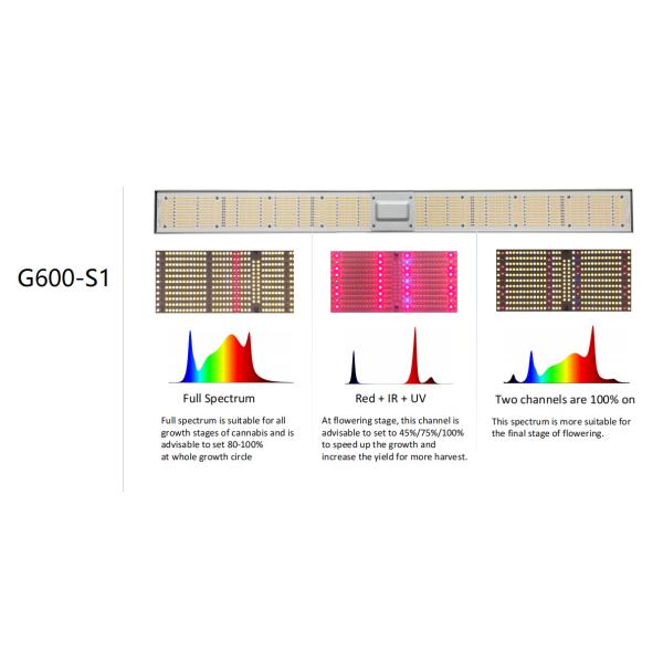 Commercial Greenhouse LED Grow Lights Supplemental 640W Toplighting