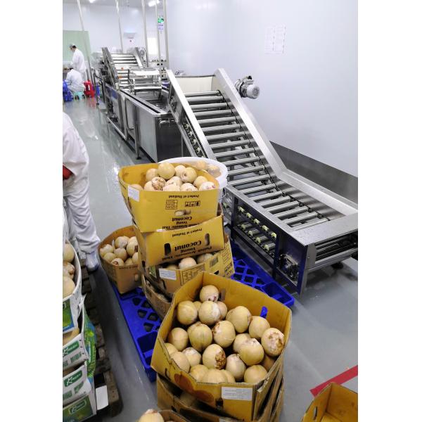 Automatic Chilli Stem Removing Machine Chilli Crushing Machine Small Chili Sauce Making Machine
