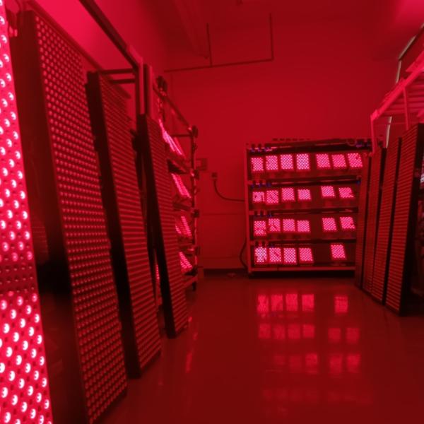 Эффективное устройство терапии светодиодным светом мощностью 3000 Вт для омоложения кожи и ухода за всем телом