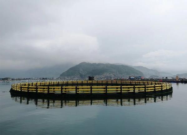Farming Machinery PE Floating Fish Farming Cage for Aquaculture