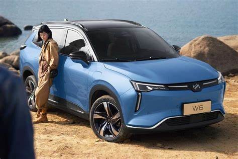 WM W6 Grandes voitures électriques 520KM 620KM New Energy Weltmeister Voiture électrique SUV