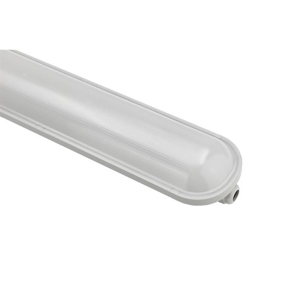 220-240V Emergency LED Tube Light , Moistureproof Tube Lighting Fixtures