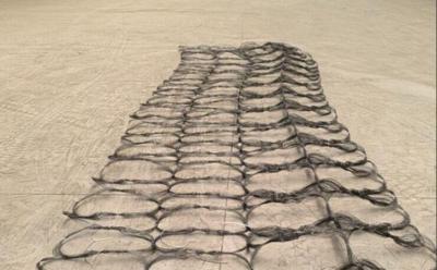 High Carbon Steel Anti Tank Wire Mesh Defend Against All Kinds Of Anti-Tank Weapons