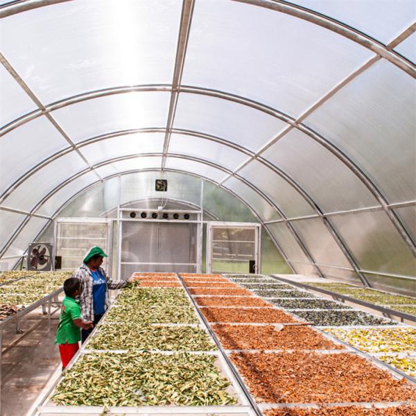 Estufas de secagem controladas com placa de PC para secagem de ervas e frutas