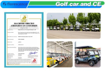 Carro de golf eléctrico utilitario de 4+2 plazas compatible con OEM, carrito de golf eléctrico, batería de litio de 70 V