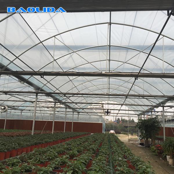 90m Length High Wall Plastic Film Autpmatic System Multi Span Greenhouse