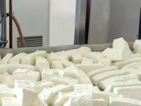 Equipamento pasteurizado da fatura de queijo da leiteria de US316 500L