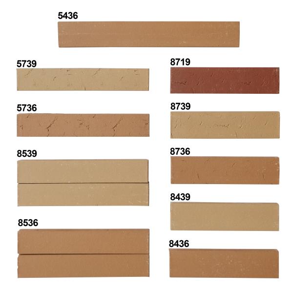 Briques fines, briques minces, extérieur, hôtel, villa, bâtiment, façade, carrelage mural