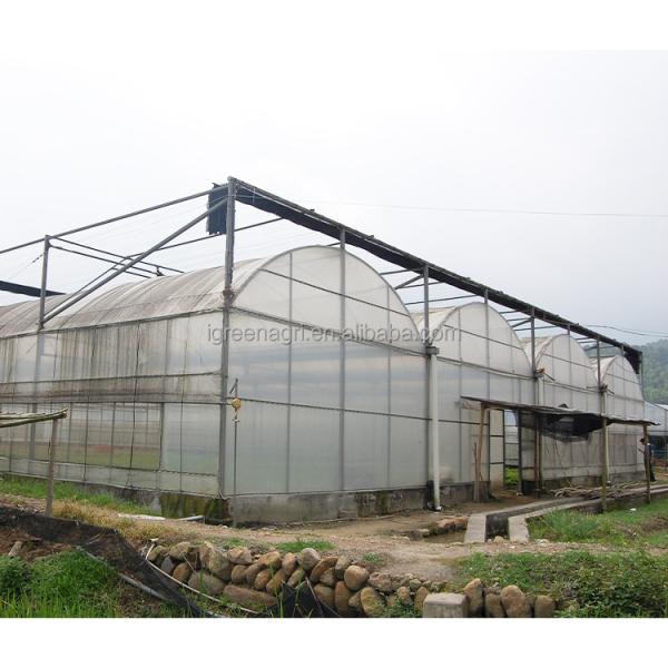 Film Surface Insulated Greenhouse Kits For Flowers And Vegetables Growing