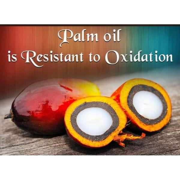 10-100TPD Palm Oil Refinery Cooking Oil Refinery Equipment List Edible Palm Oil Refinery Project Cost Depend on Capacity