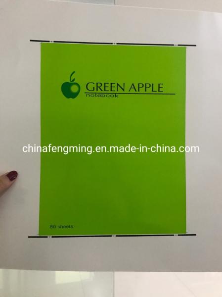High Versatility Automatic Flexo Printing Machine 1/8cp Gearing 1000mm Width