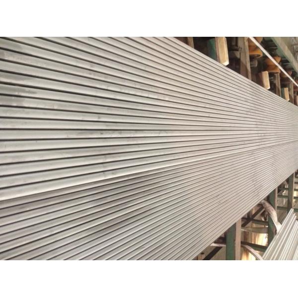 Замаринованный/обожгл безшовную трубу ASTM A213 TP310S/310H SS