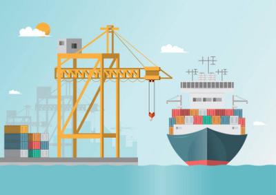 FCL Safe Sea Freight Delivery Cargo Sea Shipping From China To USA