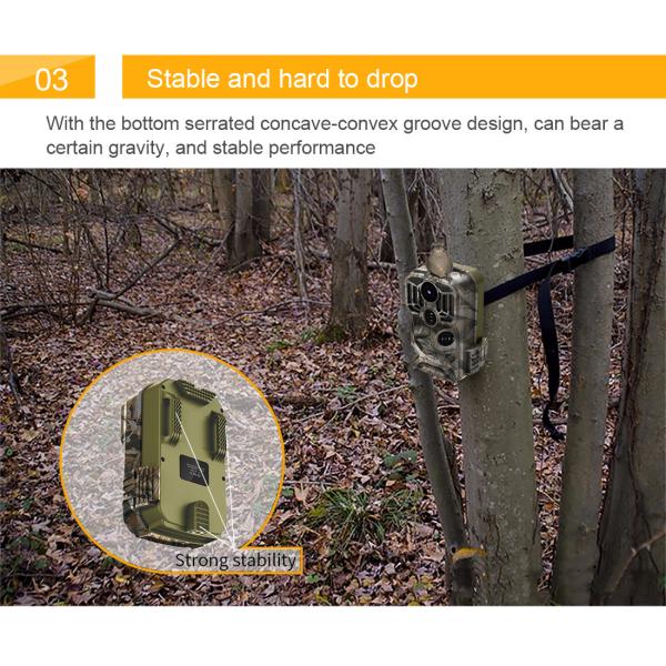 Night Vision Wifi 1080p Outdoor Trail Camera 90 Degree 30mp For Hunting Game