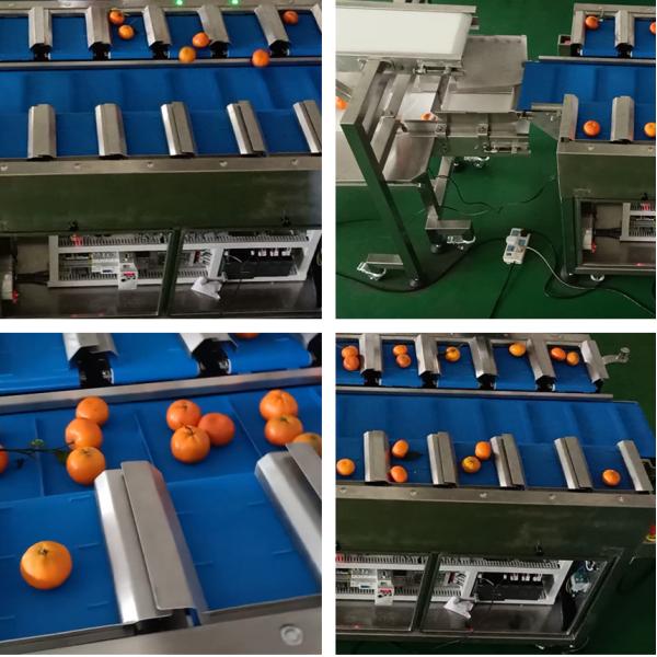 Машина упаковки Weigher TOUPACK линейная